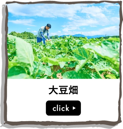 大豆畑