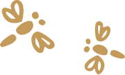 deco