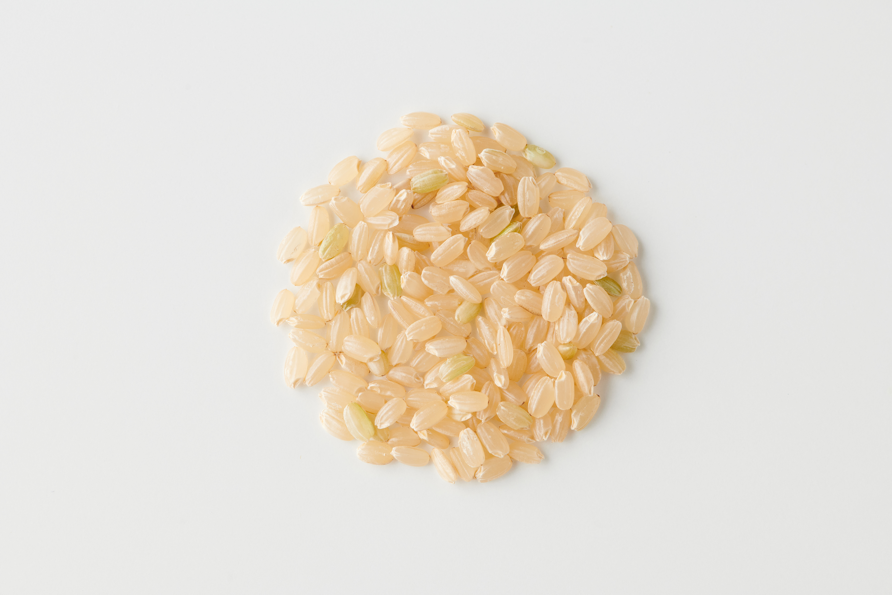 自然米‼️農家直送 自然栽培無農薬 玄米30kg れんげ米 菊池米七城町栽培-